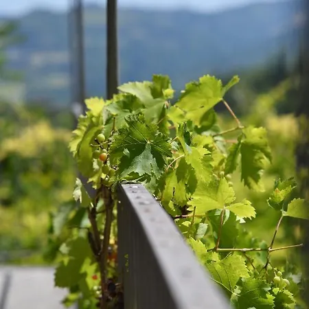 Apartman Cascina Flino Diano dʼAlba