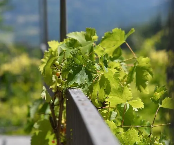 Appartamento Cascina Flino Diano dʼAlba